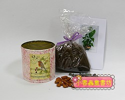 愛心樹（水黃皮）種子材料包+手工彩繪馬口鐵罐（白+粉